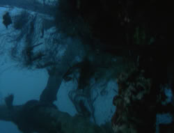 extant_XenaWarriorPrincess_6x06-TheAbyss_01007