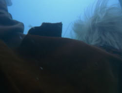 extant_XenaWarriorPrincess_6x06-TheAbyss_01015