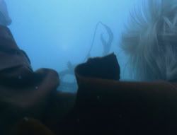 extant_XenaWarriorPrincess_6x06-TheAbyss_01016