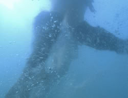 extant_XenaWarriorPrincess_6x06-TheAbyss_01024