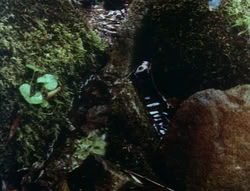 extant_XenaWarriorPrincess_6x06-TheAbyss_01497