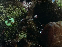 extant_XenaWarriorPrincess_6x06-TheAbyss_01498