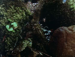 extant_XenaWarriorPrincess_6x06-TheAbyss_01499