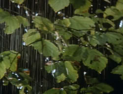 extant_XenaWarriorPrincess_6x06-TheAbyss_01502