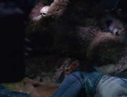 extant_XenaWarriorPrincess_6x06-TheAbyss_01588