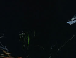 extant_XenaWarriorPrincess_6x06-TheAbyss_01679