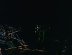 extant_XenaWarriorPrincess_6x06-TheAbyss_01681