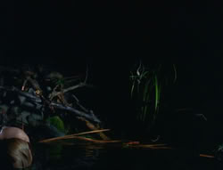 extant_XenaWarriorPrincess_6x06-TheAbyss_01682