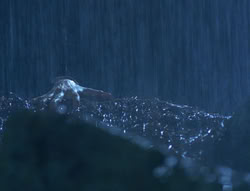 extant_XenaWarriorPrincess_6x06-TheAbyss_01843
