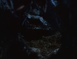 extant_XenaWarriorPrincess_6x06-TheAbyss_01921