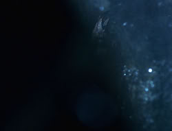 extant_XenaWarriorPrincess_6x06-TheAbyss_01930