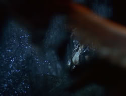 extant_XenaWarriorPrincess_6x06-TheAbyss_01932
