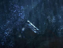 extant_XenaWarriorPrincess_6x06-TheAbyss_01935