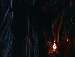 extant_XenaWarriorPrincess_6x06-TheAbyss_01956