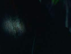 extant_XenaWarriorPrincess_6x06-TheAbyss_01985