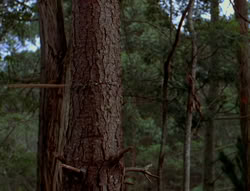 extant_XenaWarriorPrincess_6x06-TheAbyss_02313