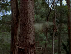 extant_XenaWarriorPrincess_6x06-TheAbyss_02314
