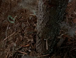 extant_XenaWarriorPrincess_6x06-TheAbyss_02315