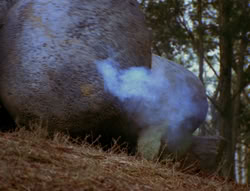 extant_XenaWarriorPrincess_6x06-TheAbyss_02317