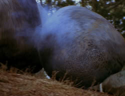 extant_XenaWarriorPrincess_6x06-TheAbyss_02318
