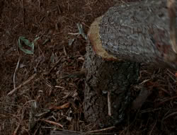 extant_XenaWarriorPrincess_6x06-TheAbyss_02320
