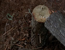 extant_XenaWarriorPrincess_6x06-TheAbyss_02321