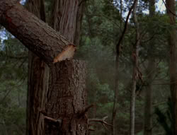 extant_XenaWarriorPrincess_6x06-TheAbyss_02322