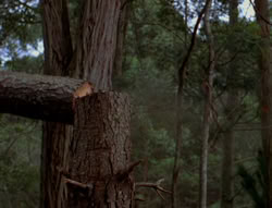 extant_XenaWarriorPrincess_6x06-TheAbyss_02323
