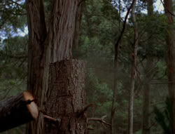 extant_XenaWarriorPrincess_6x06-TheAbyss_02324