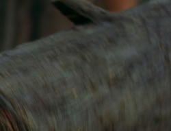 extant_XenaWarriorPrincess_6x06-TheAbyss_02325