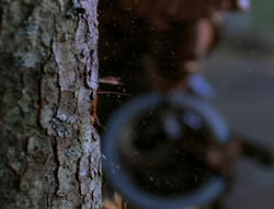 extant_XenaWarriorPrincess_6x06-TheAbyss_02333