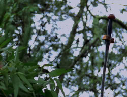 extant_XenaWarriorPrincess_6x06-TheAbyss_02362