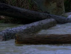 extant_XenaWarriorPrincess_6x06-TheAbyss_02363
