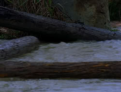 extant_XenaWarriorPrincess_6x06-TheAbyss_02364
