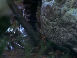 extant_XenaWarriorPrincess_6x06-TheAbyss_02365