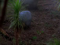 extant_XenaWarriorPrincess_6x06-TheAbyss_02379