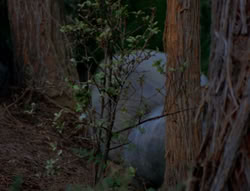 extant_XenaWarriorPrincess_6x06-TheAbyss_02381