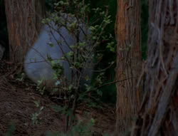extant_XenaWarriorPrincess_6x06-TheAbyss_02382
