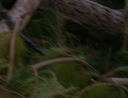 extant_XenaWarriorPrincess_6x06-TheAbyss_02390