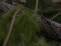 extant_XenaWarriorPrincess_6x06-TheAbyss_02391