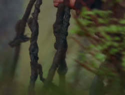 extant_XenaWarriorPrincess_6x06-TheAbyss_02419