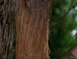 extant_XenaWarriorPrincess_6x06-TheAbyss_02424