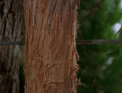extant_XenaWarriorPrincess_6x06-TheAbyss_02427