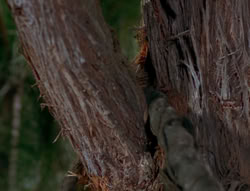 extant_XenaWarriorPrincess_6x06-TheAbyss_02428