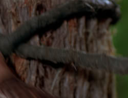 extant_XenaWarriorPrincess_6x06-TheAbyss_02440