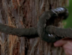 extant_XenaWarriorPrincess_6x06-TheAbyss_02441