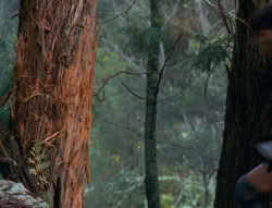 extant_XenaWarriorPrincess_6x06-TheAbyss_02571