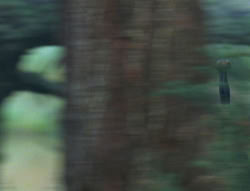 extant_XenaWarriorPrincess_6x06-TheAbyss_02575