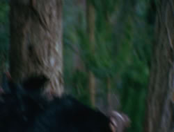 extant_XenaWarriorPrincess_6x06-TheAbyss_02584