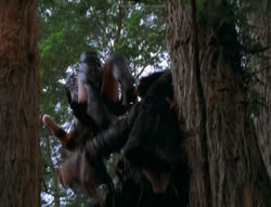 extant_XenaWarriorPrincess_6x06-TheAbyss_02594